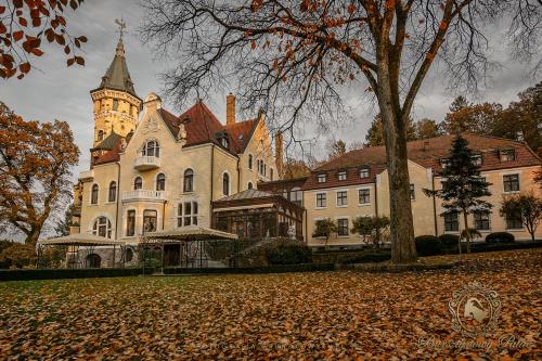 Hotel Bursztynowy Pałac — Koszalin — photo 5