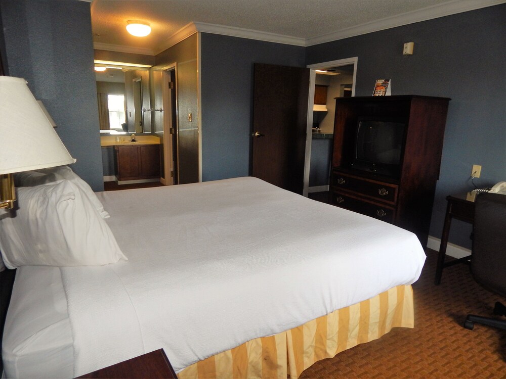 Richmond Suites Hotel - photo 5