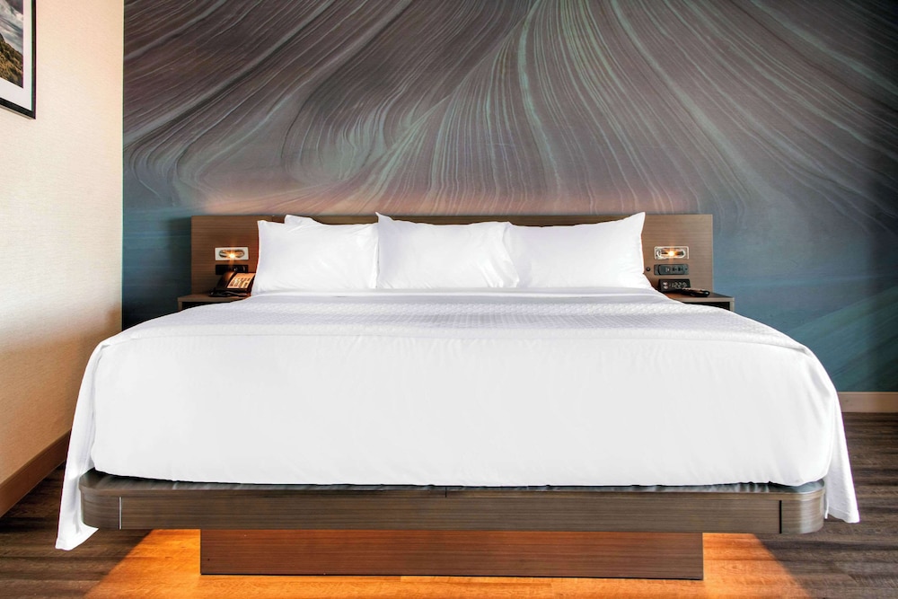 Hilton Garden Inn North Phoenix Scottsdale - photo 19