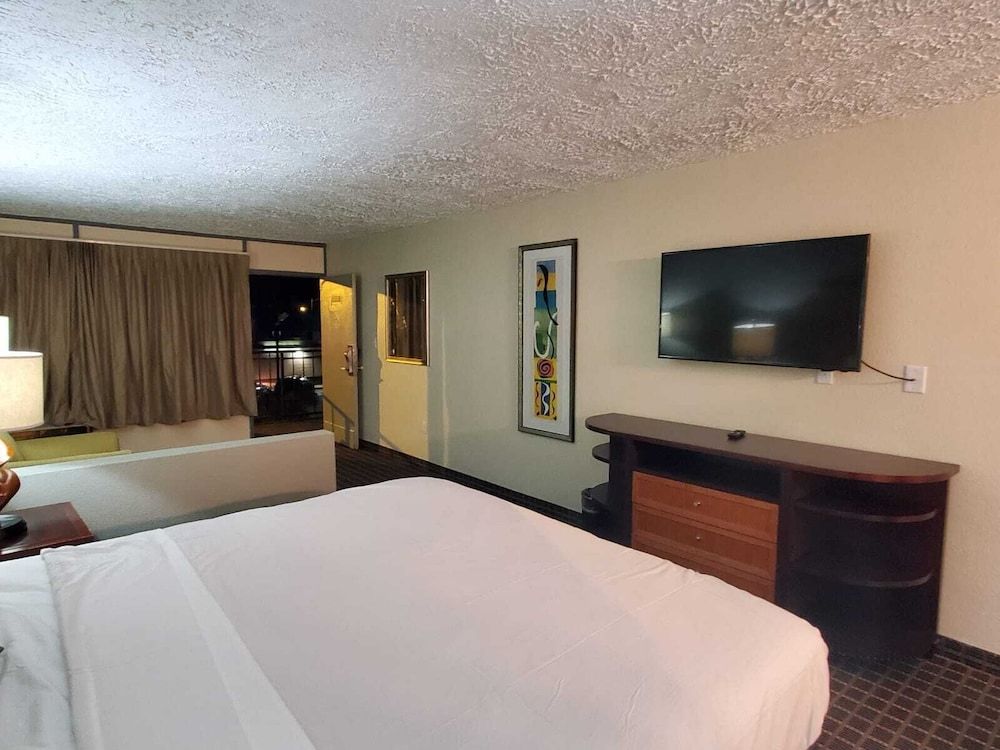 Palmetto Inn & Suites - photo 16