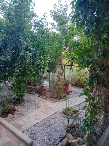 Vasiliki - carbon neutral hotel in Dilesi