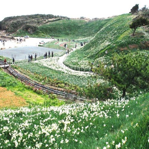 Hotel Sankai in Shizuoka, Japan