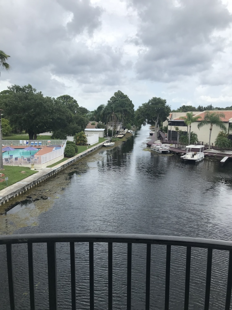 Vista Inn Lake Tarpon - photo 59