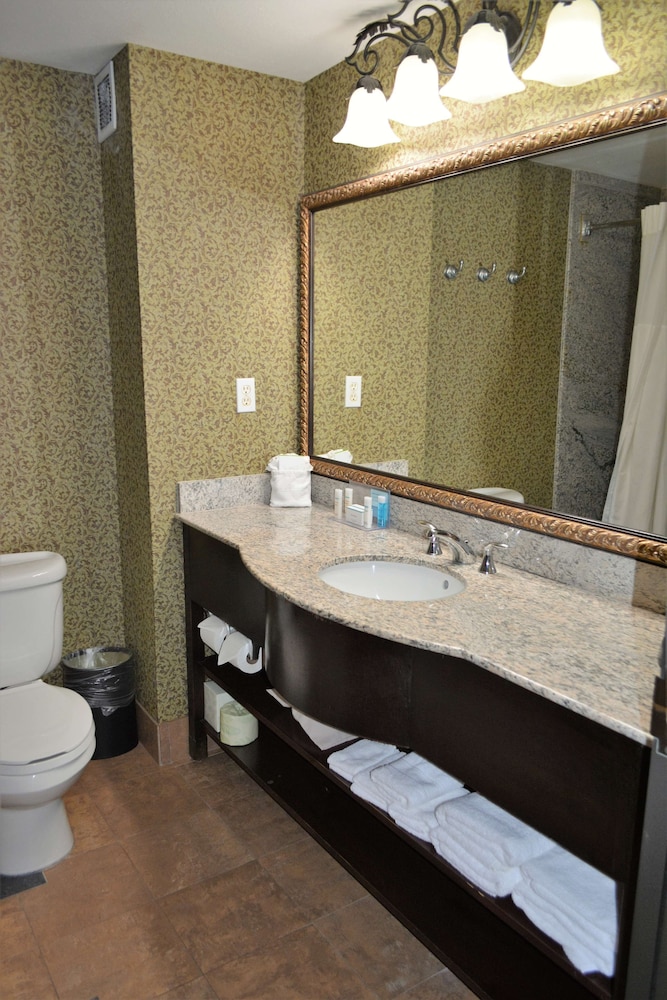 Hampton Inn & Suites Houston Katy - photo 23