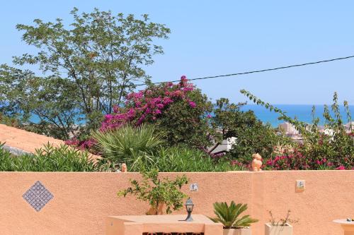 Marquesa Ws By Carlosferien — Denia — photo 4