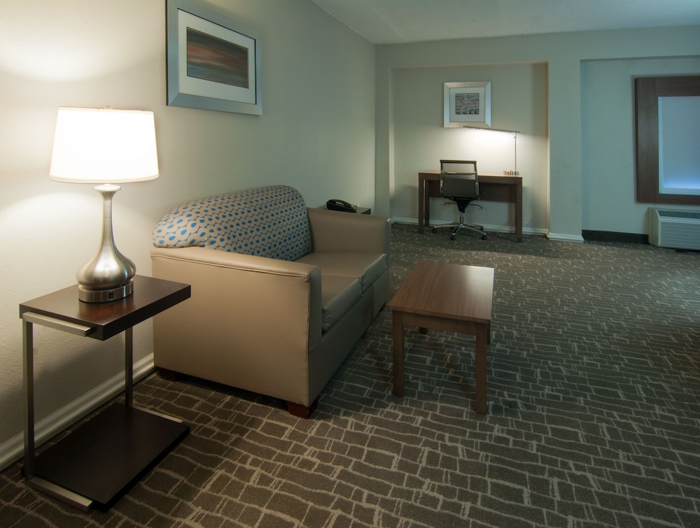 Holiday Inn Express Hotel & Suites Spence Lane by IHG - photo 10