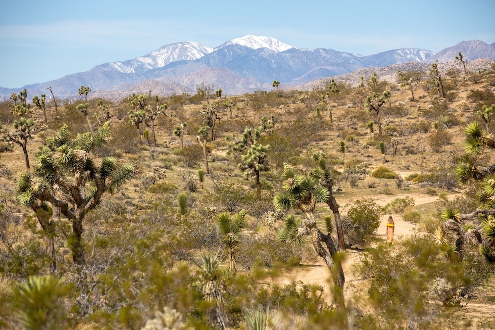 The Bungalows by Homestead Modern at The Joshua Tree Retreat Center - photo 69