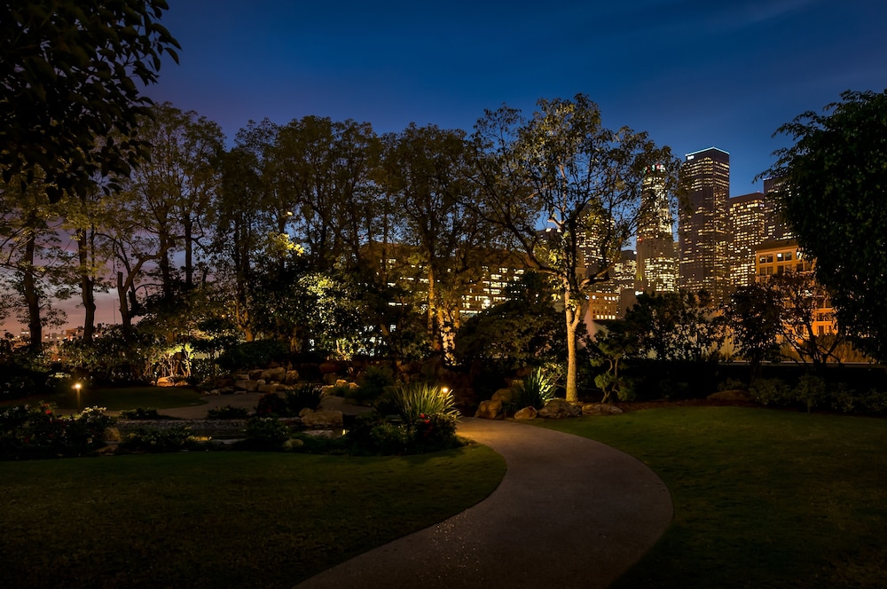 שטחי חוץ / גן