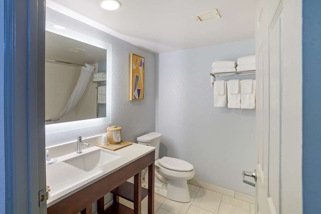 Comfort Inn Asheville Airport - photo 5