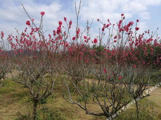 NKS Hotspring Grand View Garden in Longmen, People's Republic of China
