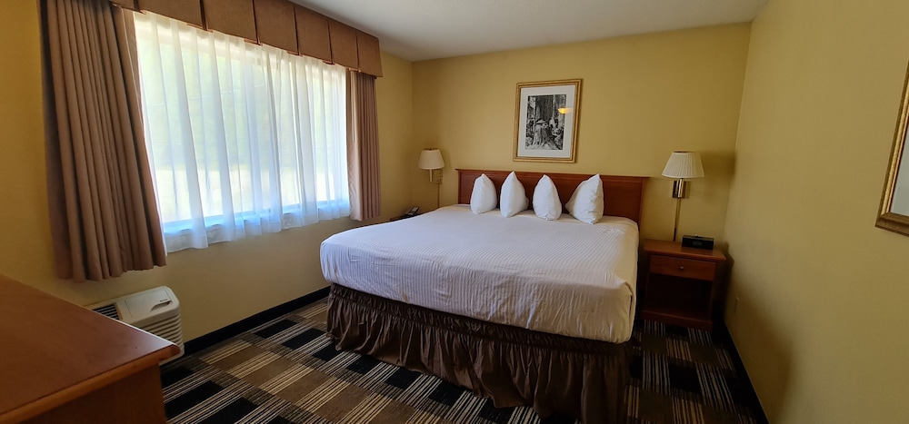 Oakridge Inn & Suites - photo 5