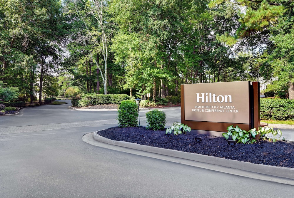 Hilton Peachtree City Atlanta Hotel & Conference Center - photo 95