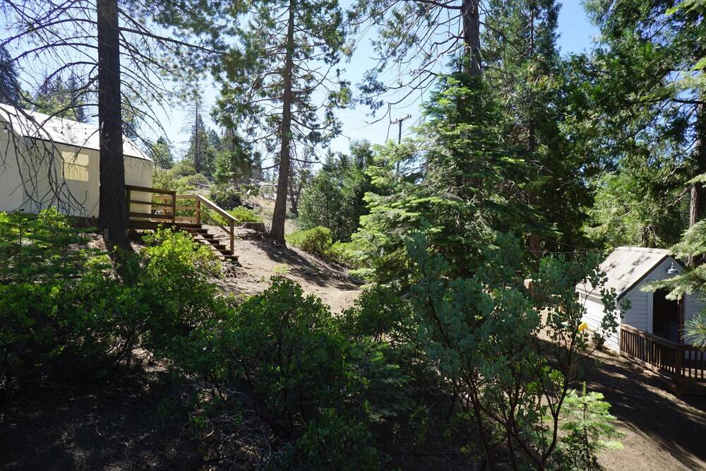 Shaver Lake Village Hotel - photo 98