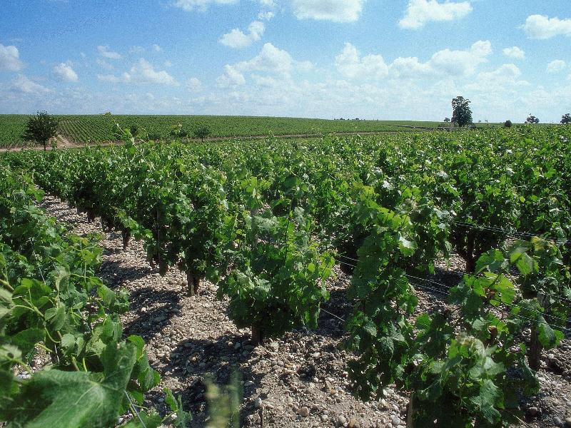 Aparthotel Adagio Access Bordeaux Sud Pessac — Pessac