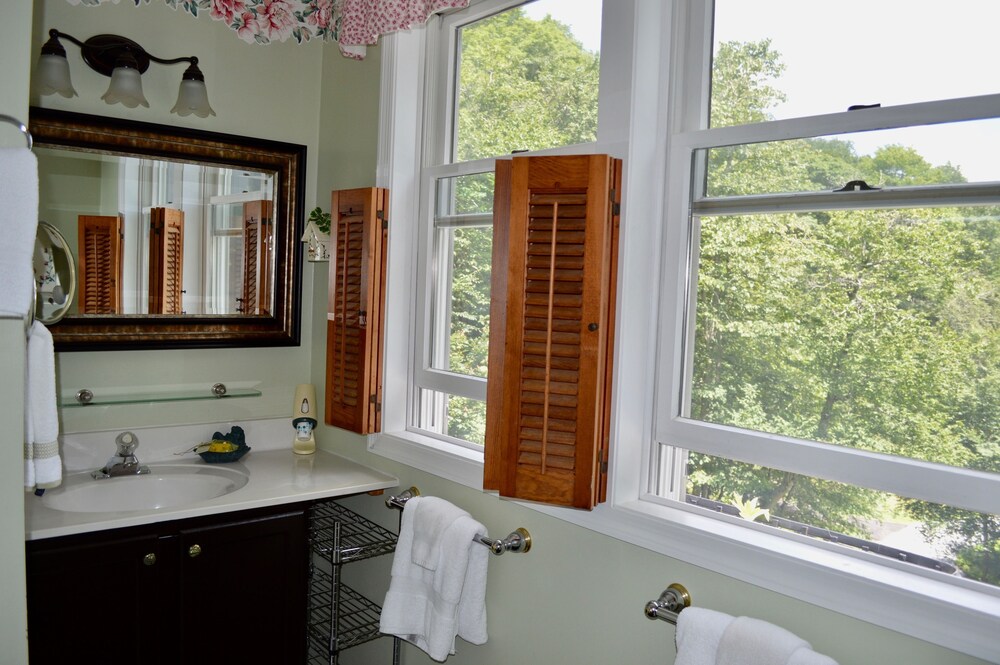 Bald Mountain House Inn at the Wolf Laurel Resort - photo 19
