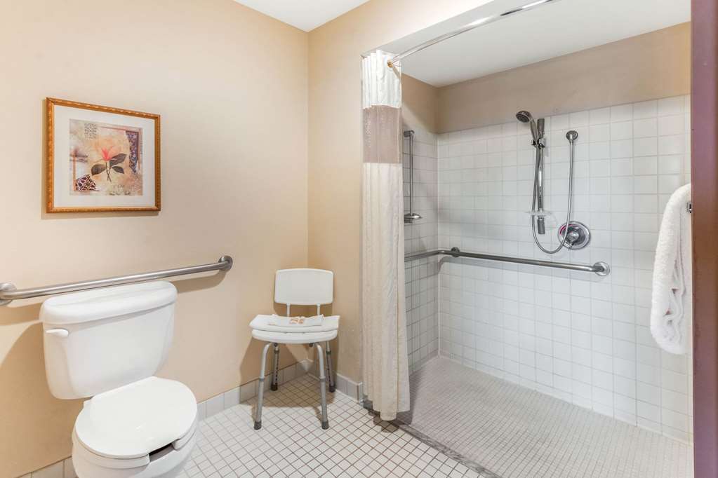 La Quinta Inn & Suites by Wyndham Las Cruces Organ Mountain - photo 15