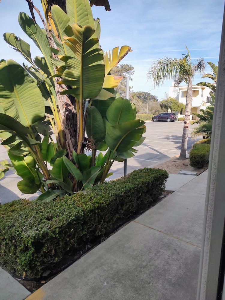 Pacific Plaza Hotel - photo 20