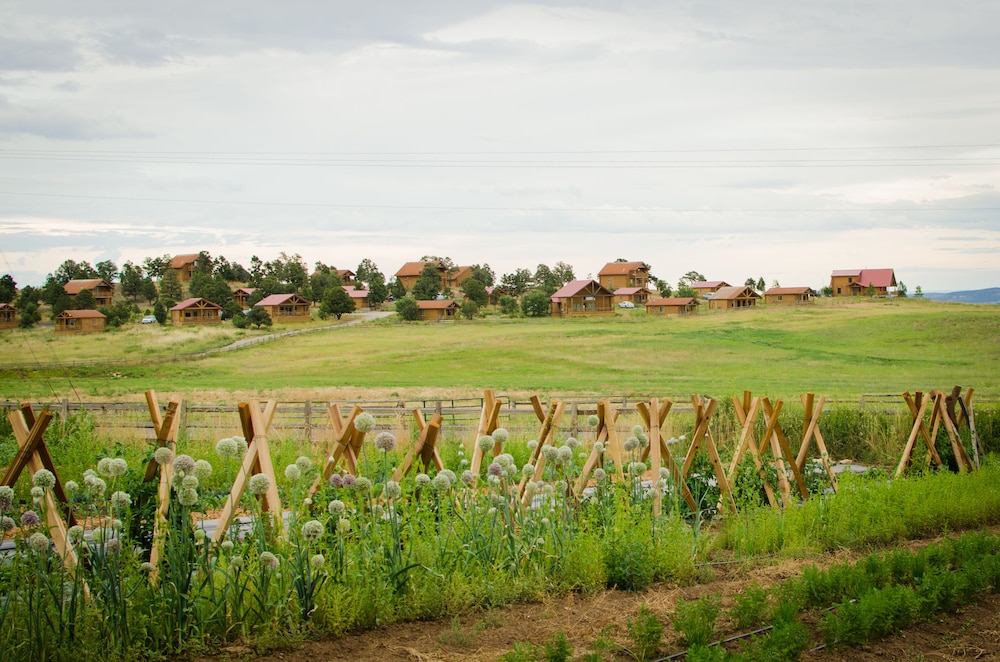 Zion Mountain Ranch - photo 52