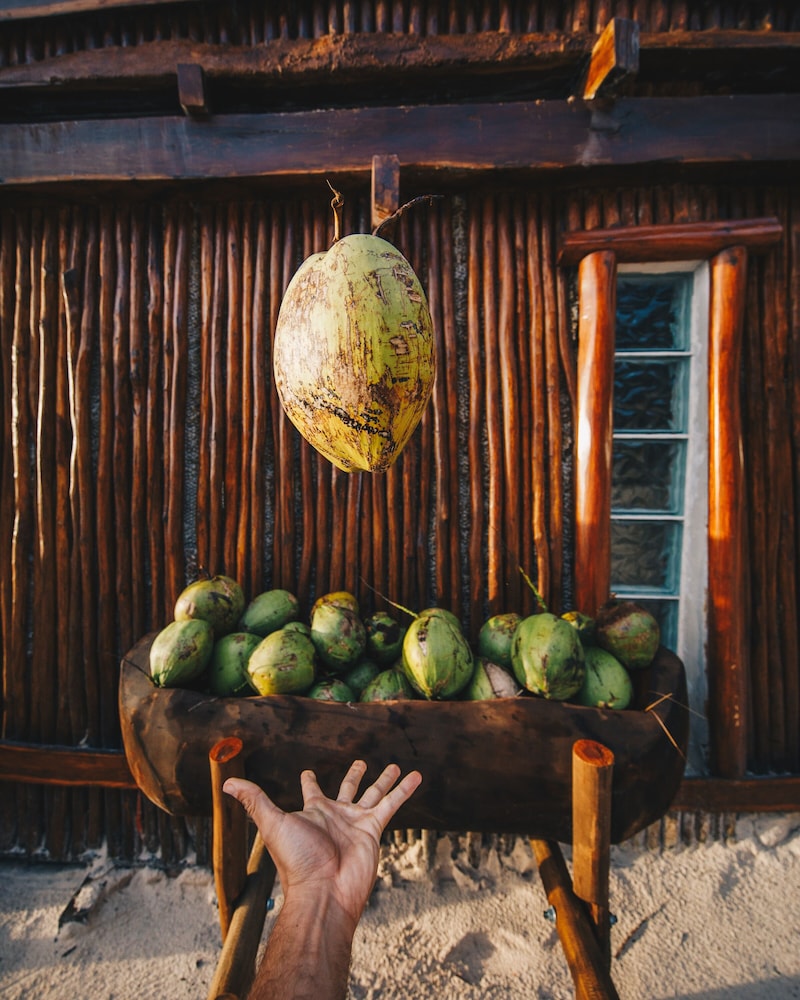 Beach bar