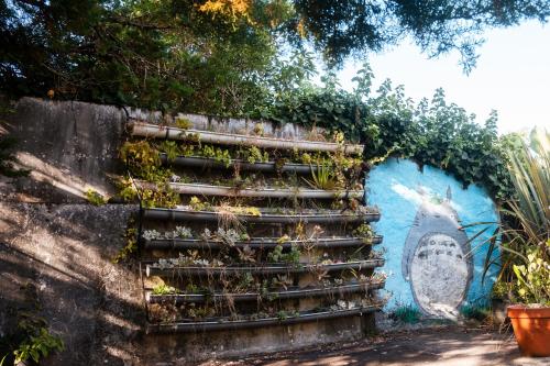 Quinta das Almas in Sao Roque Do Pico, Portugal