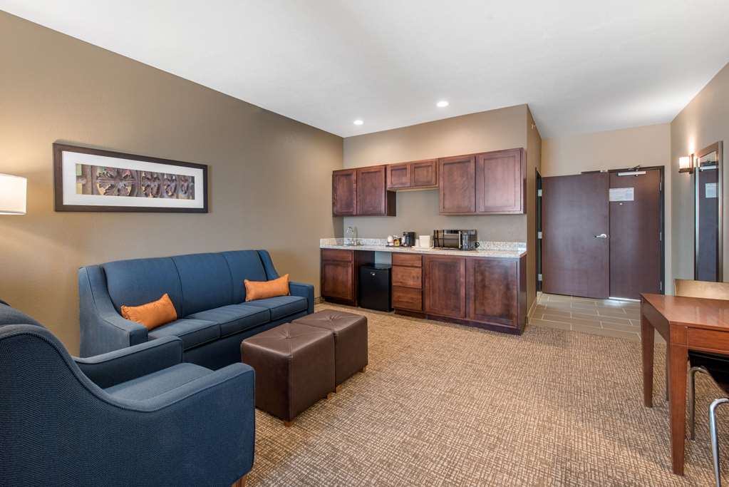 Comfort Suites Denver International Airport - photo 25