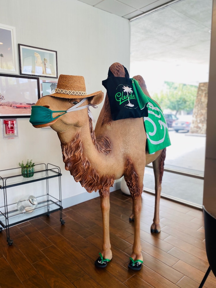 Glendale Express Hotel Los Angeles - photo 4