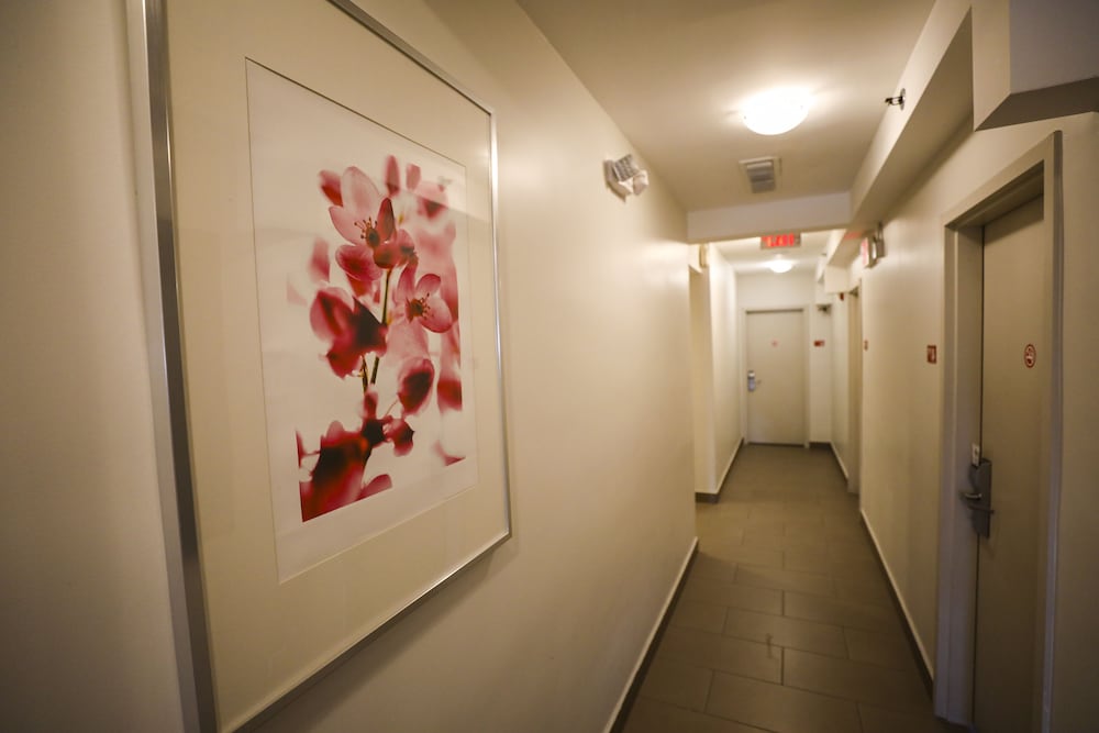 Collins Hotel - photo 19