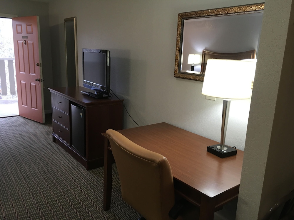 The University Inn - photo 5