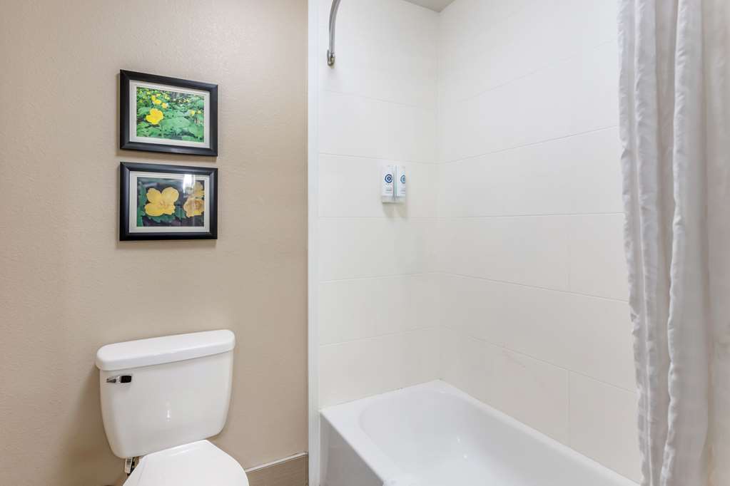 Comfort Inn & Suites Conway - photo 15