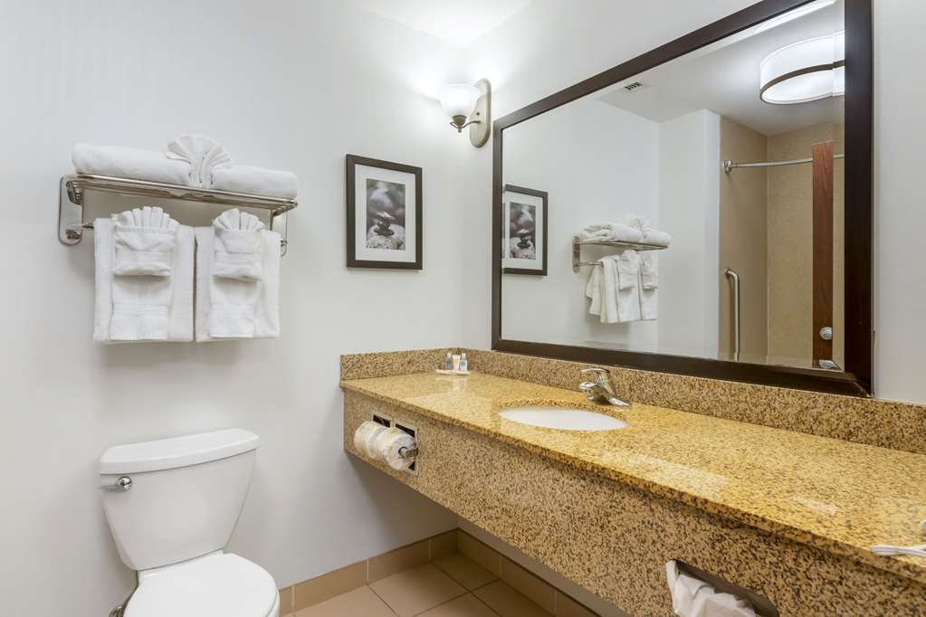 Comfort Suites Conference Center Rapid City - photo 8