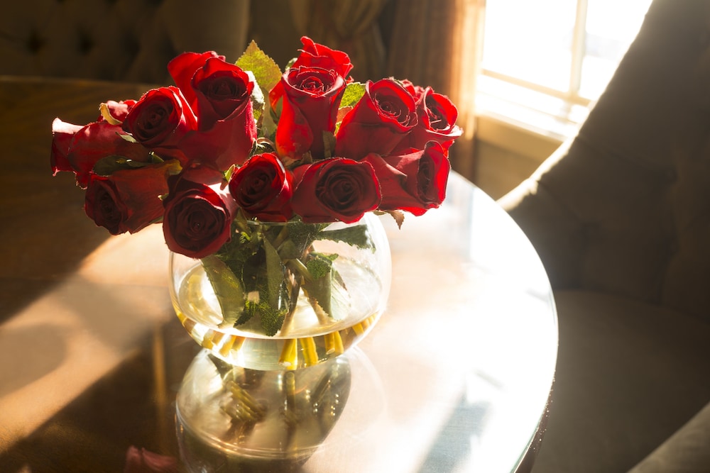 Ayres Hotel Laguna Woods Aliso Viejo - photo 25