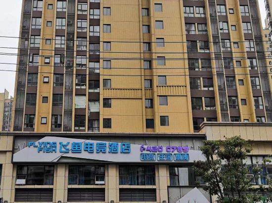 Flying Fish E sports Hotel — hotel in Zhijiang