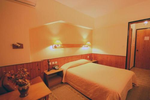 Milionis Forest Hotel — Grevena — photo 3