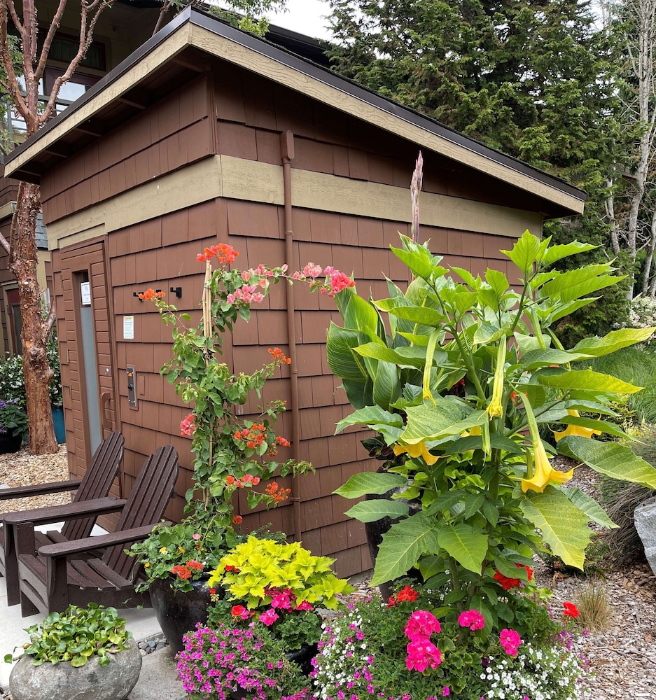 Willows Lodge - photo 41