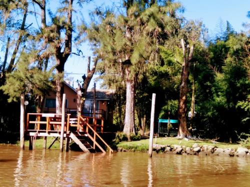 Delta Tigre — Tigre — photo 4