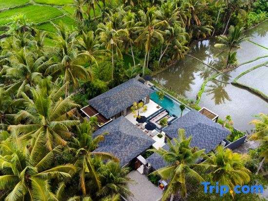 Villa Blackrock by BaliSuperHost — 4-Star Luxury Hotel in Ubud, Indonesia