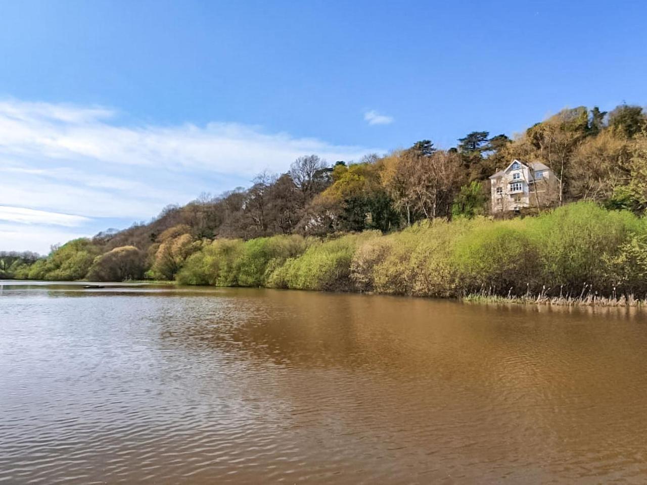 Oak Uk38687 — Bideford — photo 5