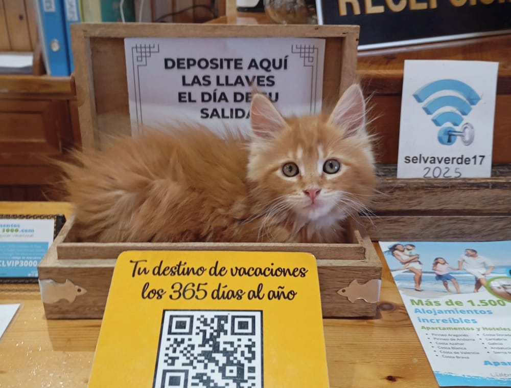 Hotel Casa Morlans 3000 in Unknown City, Spain