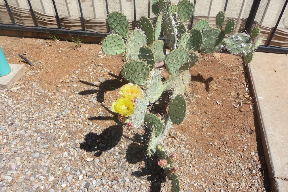 Sierra Inn Near Fort Huachuca AZ - photo 94