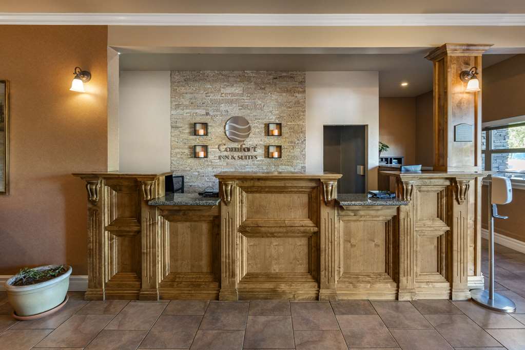 Comfort Inn & Suites Ukiah Mendocino County - photo 4