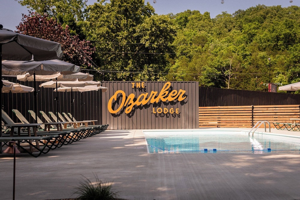 The Ozarker Lodge - photo 60