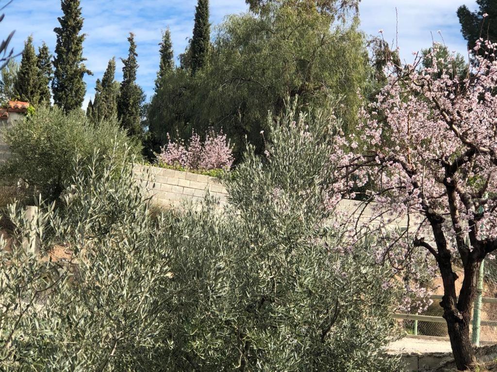 El Huerto De Maravillas — Cehegin