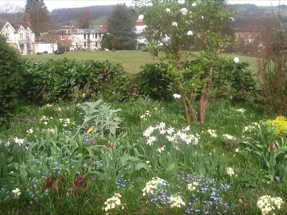 The Waltons - carbon neutral hotel in Dorking