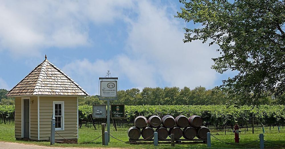 Wedmore Place - photo 170