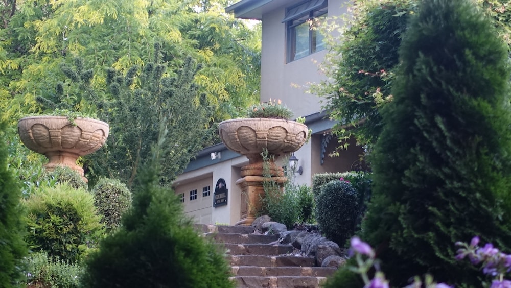 Gracehill - carbon neutral hotel in Olinda