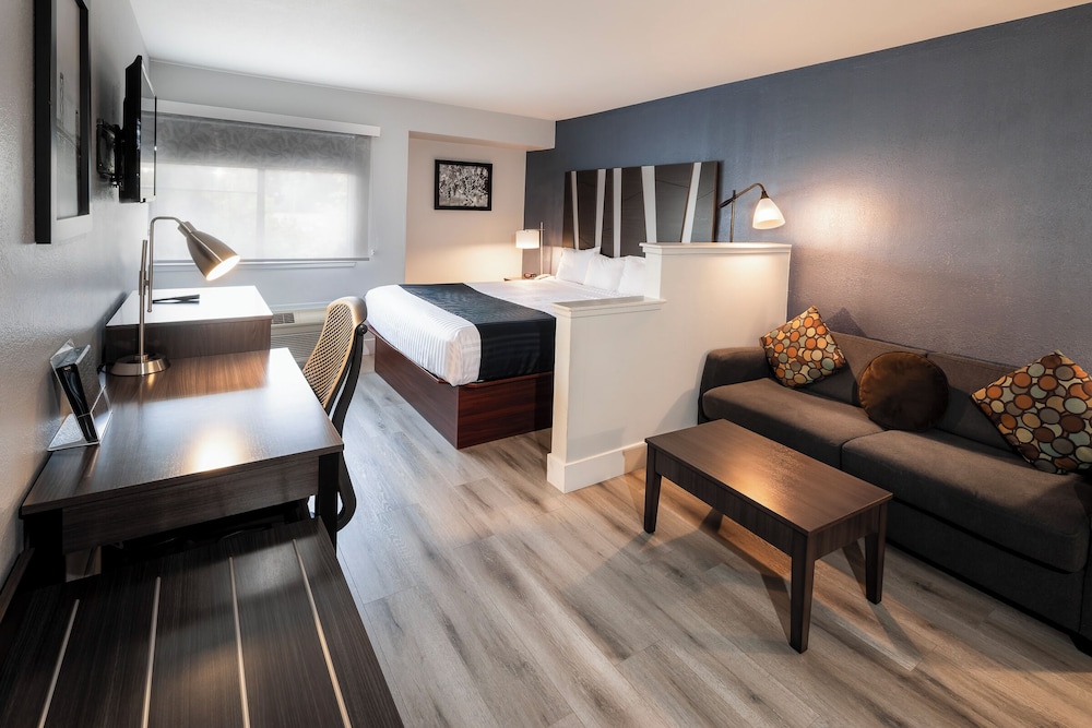 Hotel Mira Vista - photo 10