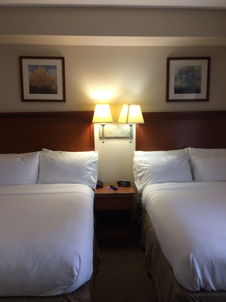 Candlewood Suites Jacksonville by IHG - photo 7