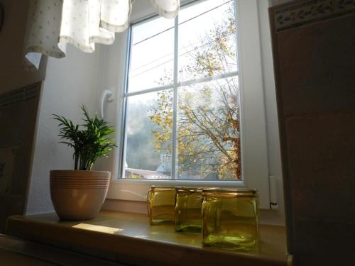 Lea — Samobor — photo 4