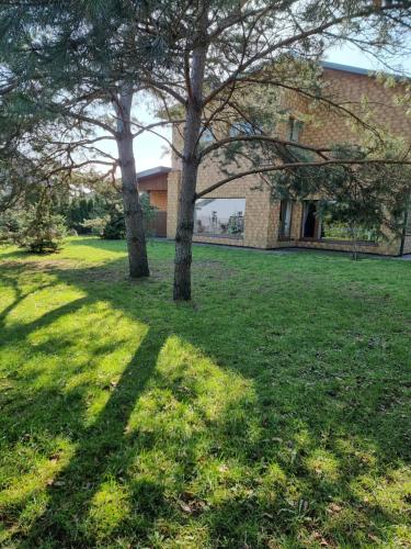 Druskininkai Algida in Druskininkai, Lithuania