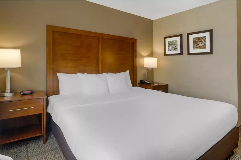 Comfort Inn & Suites Peachtree Corners Norcross - photo 10